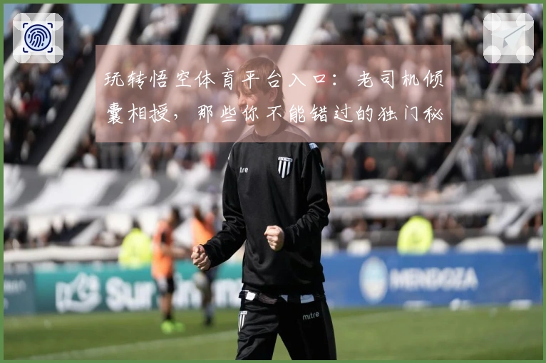 玩转悟空体育平台入口：老司机倾囊相授，那些你不能错过的独门秘籍！