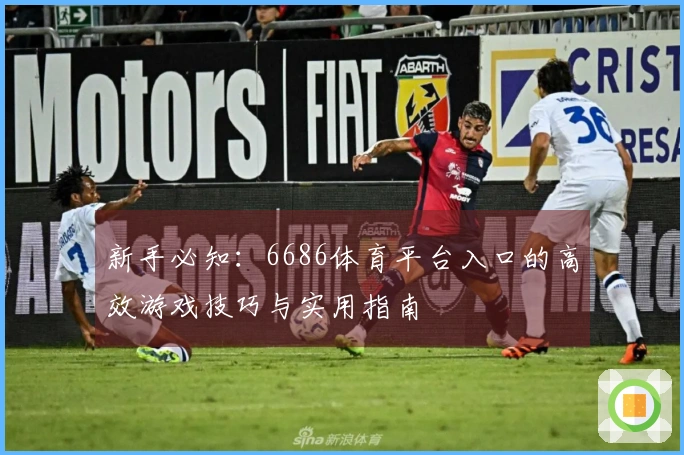 新手必知：6686体育平台入口的高效游戏技巧与实用指南