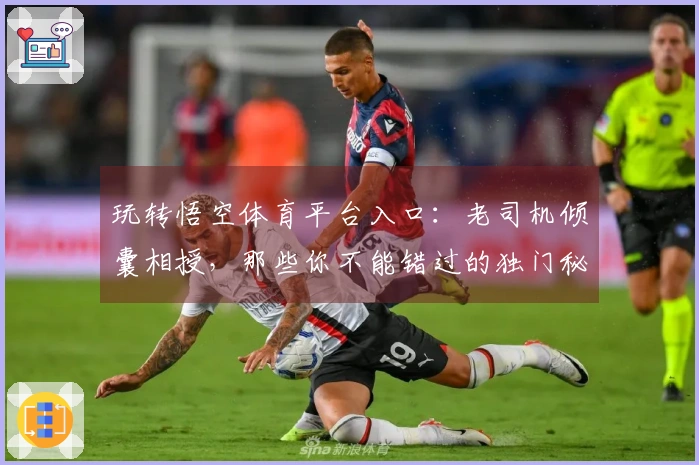 玩转悟空体育平台入口：老司机倾囊相授，那些你不能错过的独门秘籍！